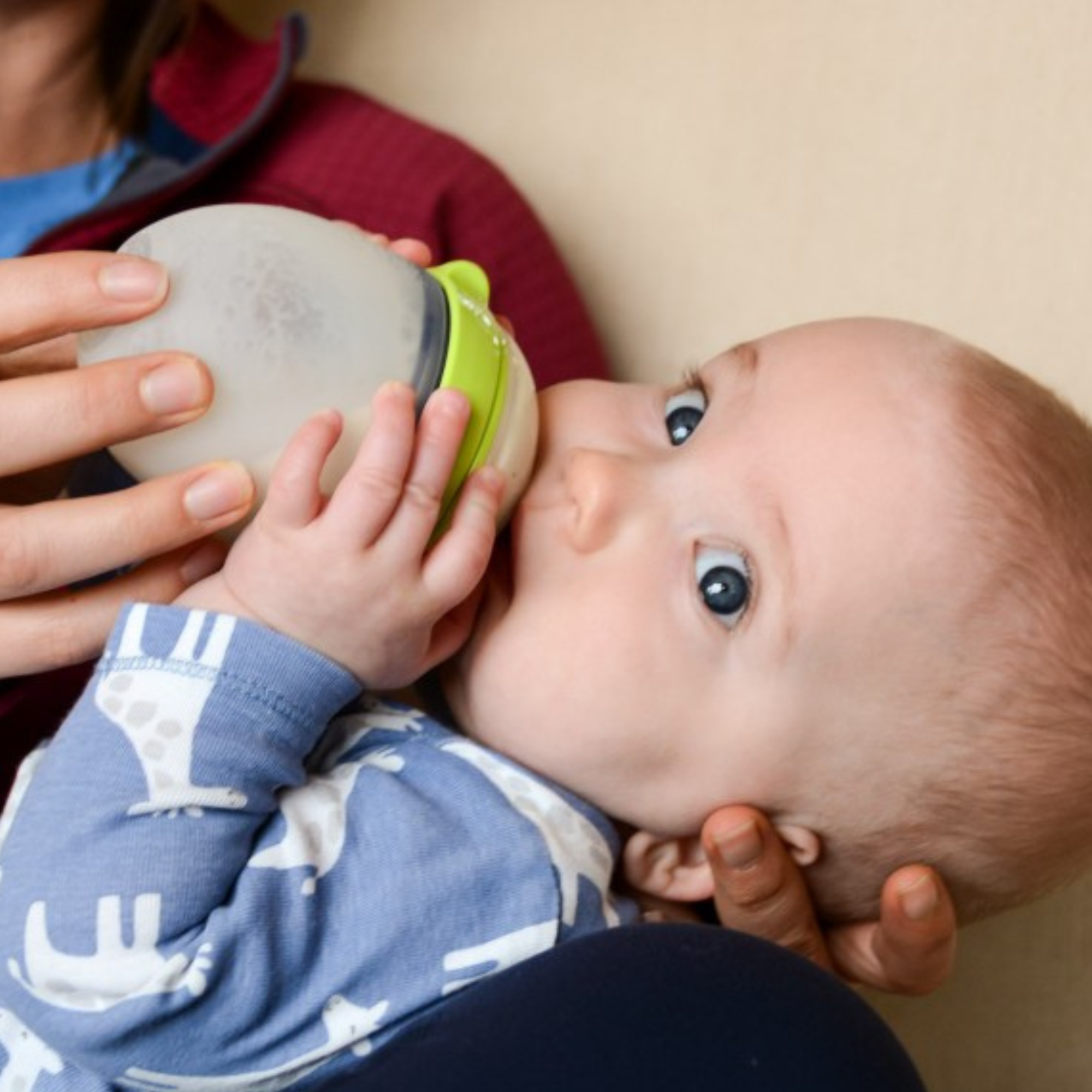Bambino Babyflasche Reinigungsset